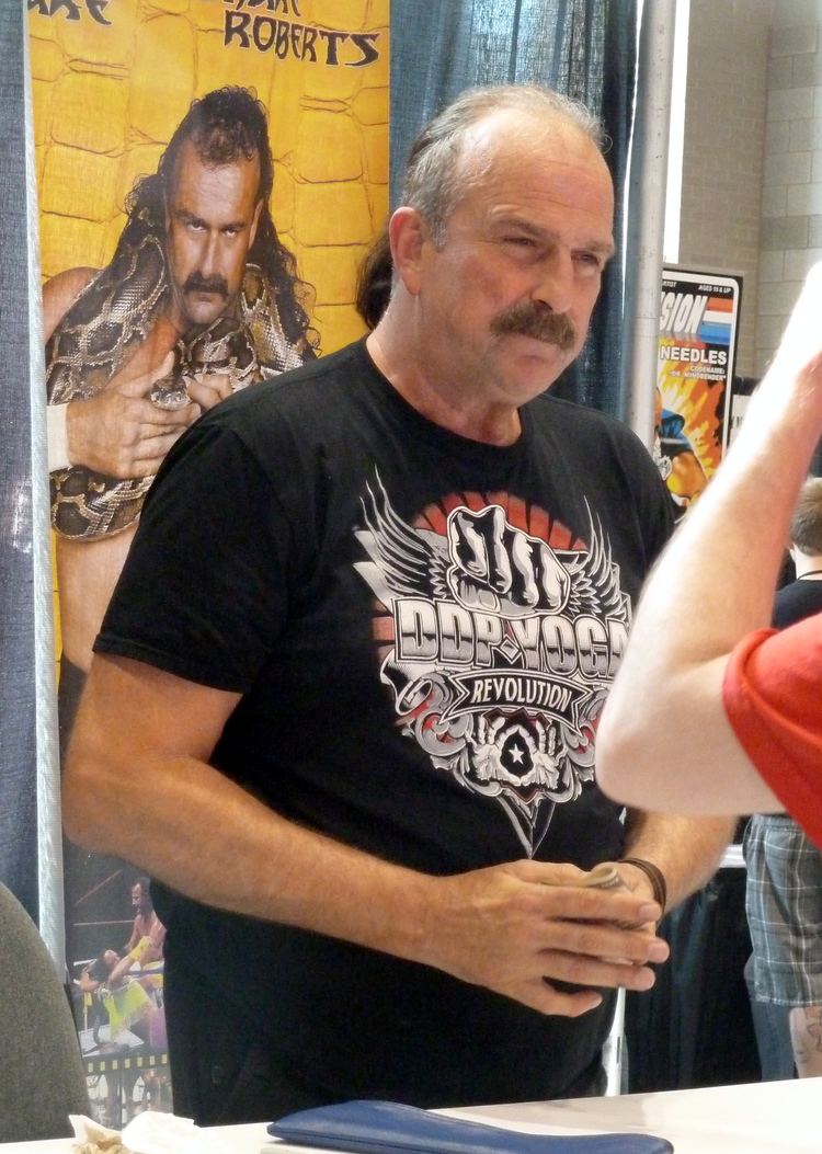 Jake Roberts httpsuploadwikimediaorgwikipediacommonsee