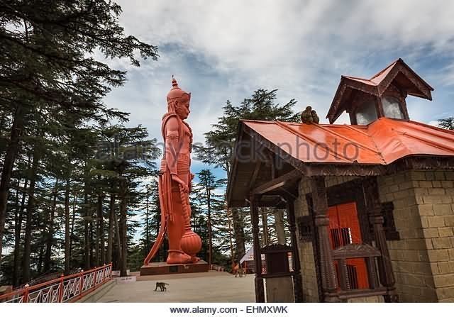Jakhoo 35 Most Incredible Pictures And Photos Of Jakhoo Temple Shimla
