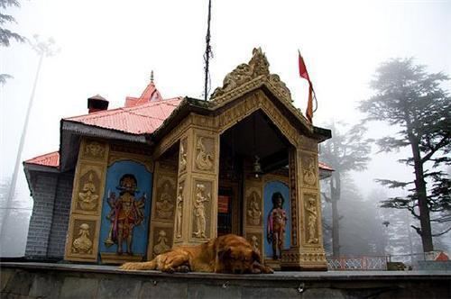 Jakhoo Jakhoo Temple Shimla The Famous Monkey God Temple Shimla