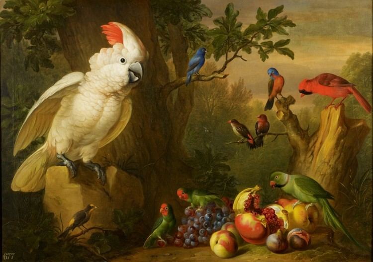 Jakob Bogdani Jakob Bogdani Birds and Fruit in a Landscape Parrot Museum