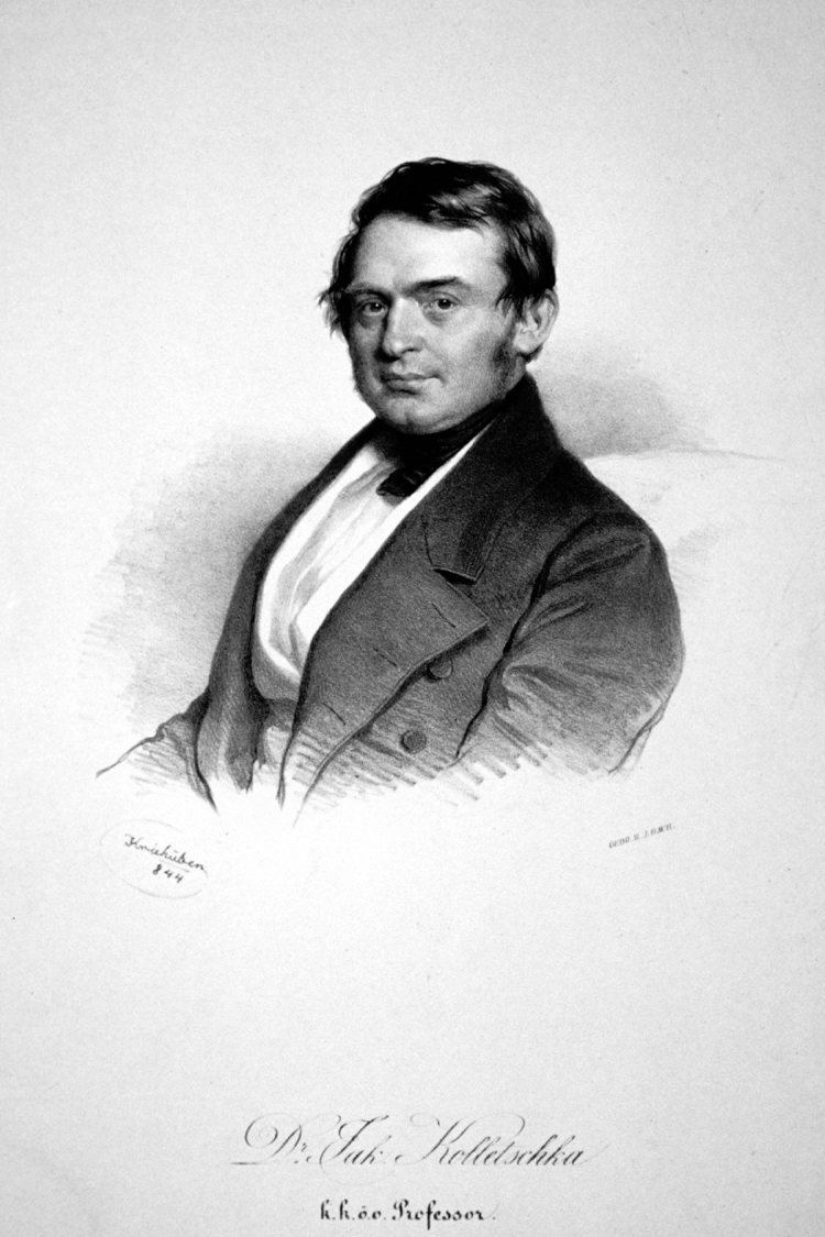 Jakob Kolletschka FileJakob Kolletschka Lithojpg Wikimedia Commons