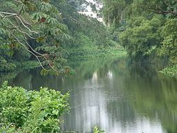 Jamapa River httpsuploadwikimediaorgwikipediacommonsthu