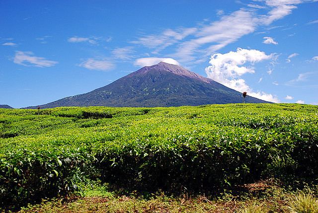 Jambi City Beautiful Landscapes of Jambi City