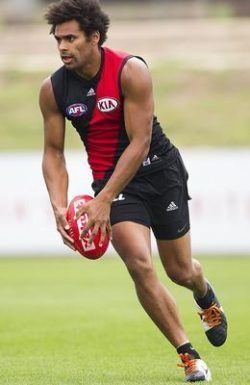 James Gwilt Back to his roots Gwilt signs on with Noble Park Dandenong Journal