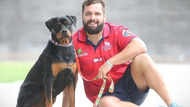 James Hanson (rugby union) Super Rugby 2015 Melbourne Rebels sign Queensland Reds