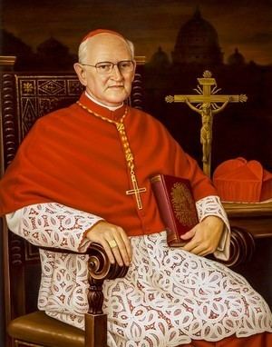 James Michael Harvey His Eminence Cardinal James Michael Harvey Portrait Portfolio