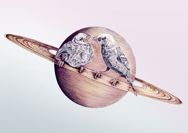 James Ormiston Space Birds by James Ormiston Drawing Inspiration