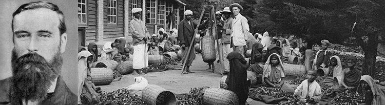 James Taylor (tea planter) Ceylon Tea Museum