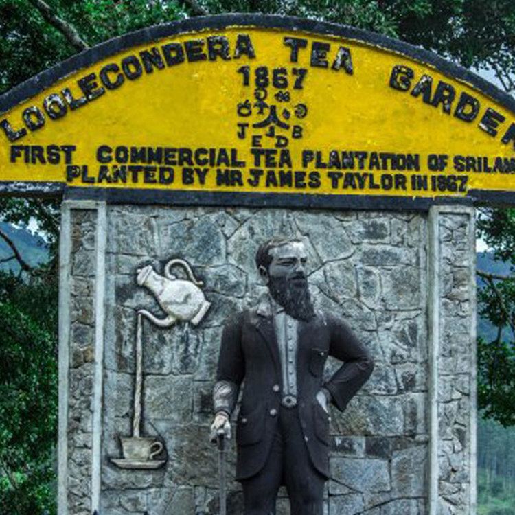 James Taylor (tea planter) James Taylors Tea Estate tour from Kandy Beyond Escapes