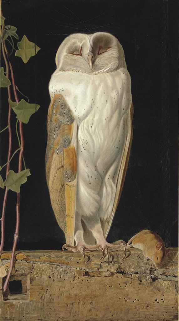 James Webbe William James Webbe fl18531878 The White Owl Alone and