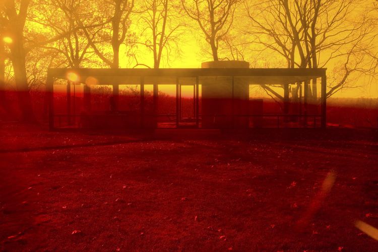 James Welling James Welling39s The Glass House NOWNESS