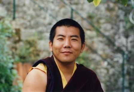 Jamgon Kongtrul Jamgon Kongtrul Rinpoche on the Diamond Way Buddhism UK Blog