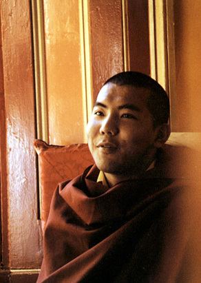 Jamgon Kongtrul Jamgn Kongtrul Rinpoche Rigpa Wiki
