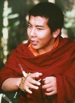 Jamgon Kongtrul 3rd Jamgon Kongtrul Rinpoche on realising Mahamudra Diamond Way