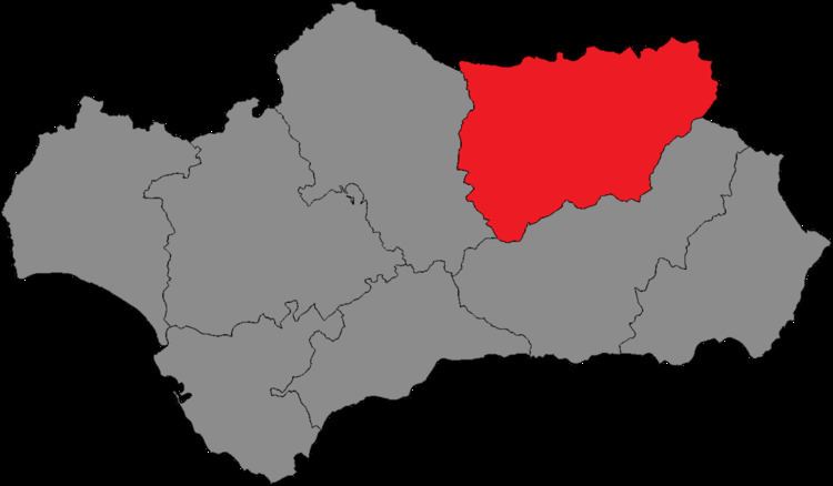 Jaén (Andalusian Parliament electoral district)