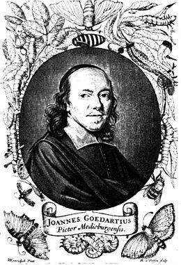 Jan Goedart httpsuploadwikimediaorgwikipediacommonsthu