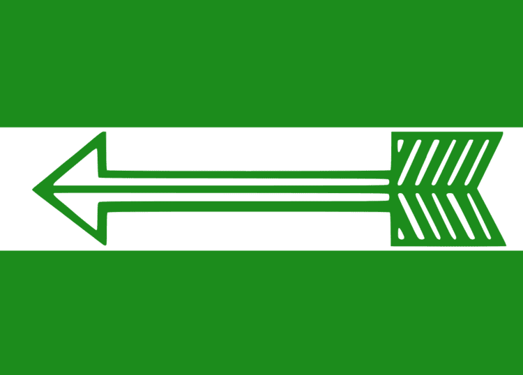 Janata Dal (United) Flag.svg