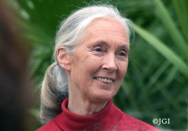 Jane Brick RootsampShoots Jane Goodall Institute Belgium