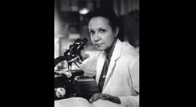 Jane C. Wright Little Known Black History Fact Dr Jane Wright Pioneer