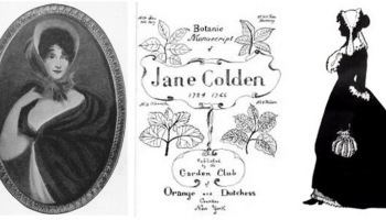 Jane Colden Un jardn de letras