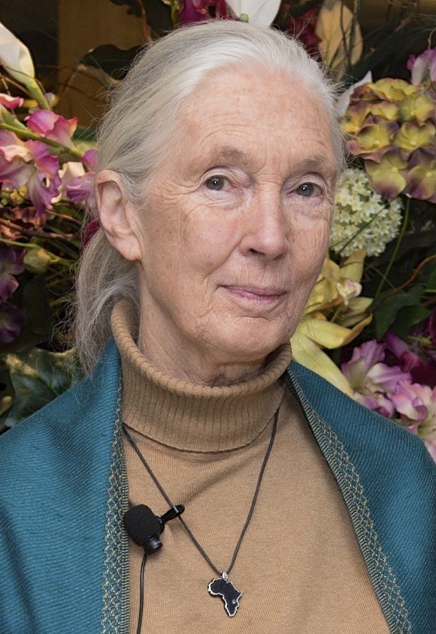 Jane Goodall httpsuploadwikimediaorgwikipediacommonscc