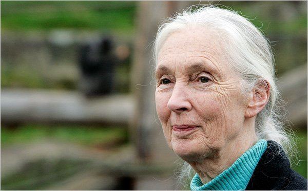 Jane Goodall A Conversation With Jane Goodall 50 Years of Chimpanzees