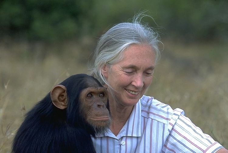 Jane Goodall Jane Goodall Wild at Heart Infinite Fire