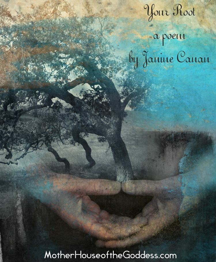 Janine Canan Your Root A Poem Janine Canan