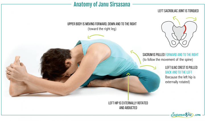 Janusirsasana How To Do The Janu Sirsasana And What Are Its Benefits