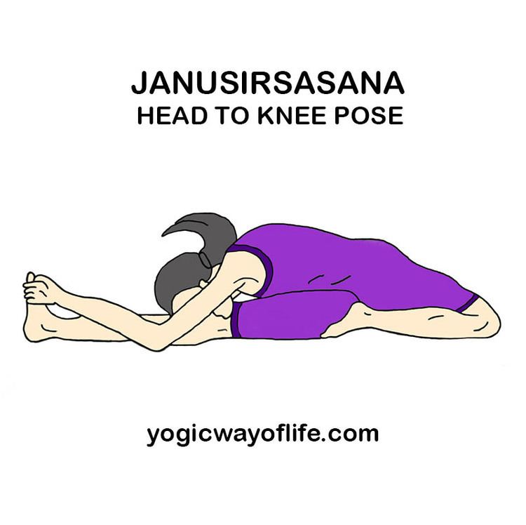 Janusirsasana Janu Sirsasana The Head to Knee Pose Yogic Way Of Life