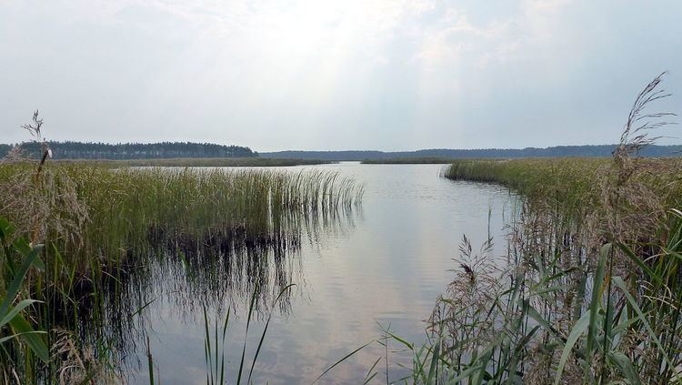 Janów Forests Landscape Park