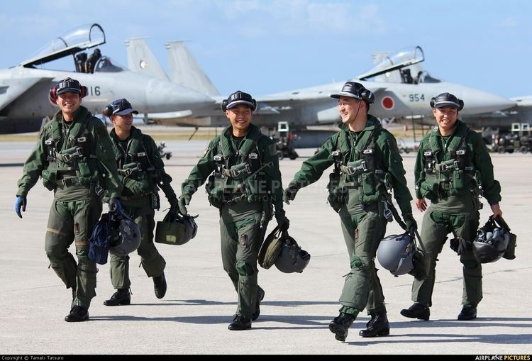 Japan Air Self-Defense Force Japan Air Self Defence Force Airport Overview People Pilot at