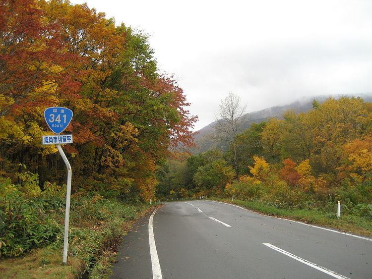 Japan National Route 341