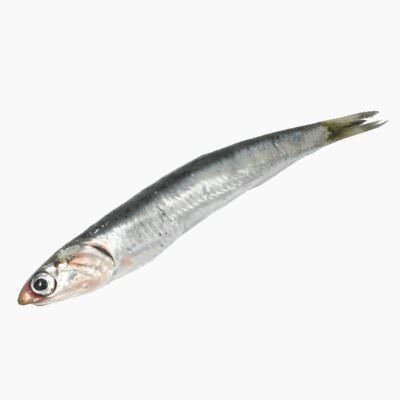 Japanese anchovy Japanese anchovy raw Whole Food Catalog