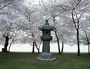 Japanese Lantern (Washington, D.C.) httpsuploadwikimediaorgwikipediacommonsthu