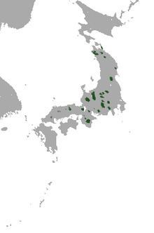 Japanese mountain mole httpsuploadwikimediaorgwikipediacommonsthu