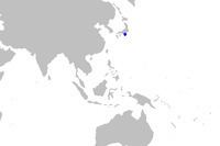 Japanese velvet dogfish httpsuploadwikimediaorgwikipediacommonsthu