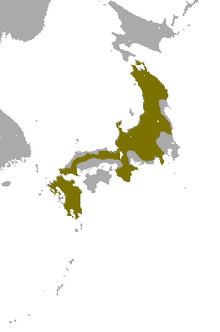 Japanese water shrew httpsuploadwikimediaorgwikipediacommonsthu