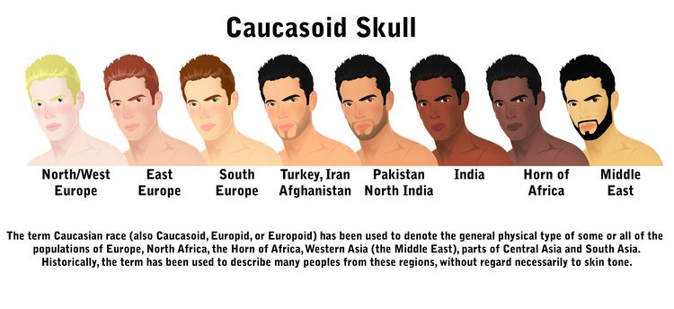 An illustration showing the different Caucasoid Skull.