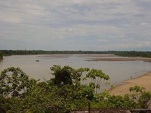 Japurá River httpsuploadwikimediaorgwikipediacommonsthu