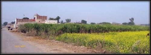 Jaranwala Tehsil mw2googlecommwpanoramiophotosmedium63460866jpg