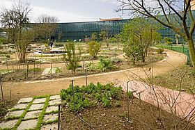 Jardin botanique Henri Gaussen httpsuploadwikimediaorgwikipediacommonsthu