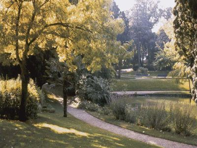 Jardin des Plantes de Poitiers httpswwwgralonnettourismejardinsjardinjar