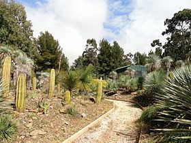 Jardin d'Oiseaux Tropicaux httpsuploadwikimediaorgwikipediacommonsthu