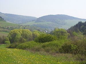 Jasenica (village) httpsuploadwikimediaorgwikipediacommonsthu