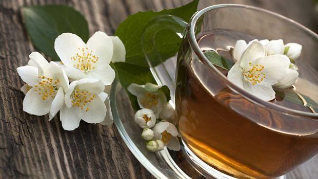 Jasmine tea 12 Health Benefits Of Jasmine Tea And Its Side Effects