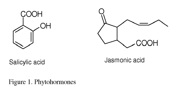 Jasmonic acid Patent EP2468097A1 Use of Isothiazolecarboxamides to create latent