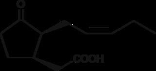 Jasmonic acid 7epi Jasmonic Acid CAS 62653854 Cayman Chemical