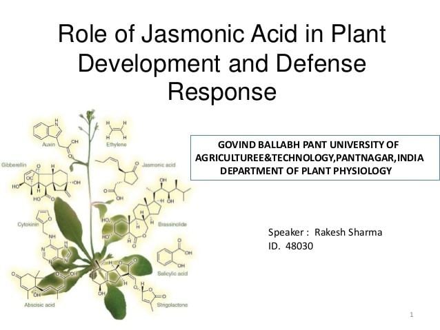 Jasmonic acid ROLE OF JASMONIC ACID IN PLANT DEVELOPMENT ampDEFENCE MECHANISM