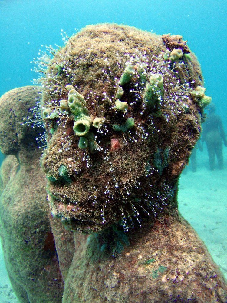 Jason deCaires Taylor The Work of Jason deCaires Taylor guliverlooks